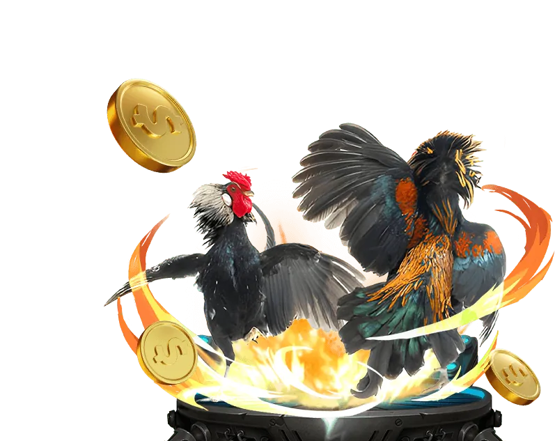 Câu chuyện thành công và kinh nghiệm cá cược